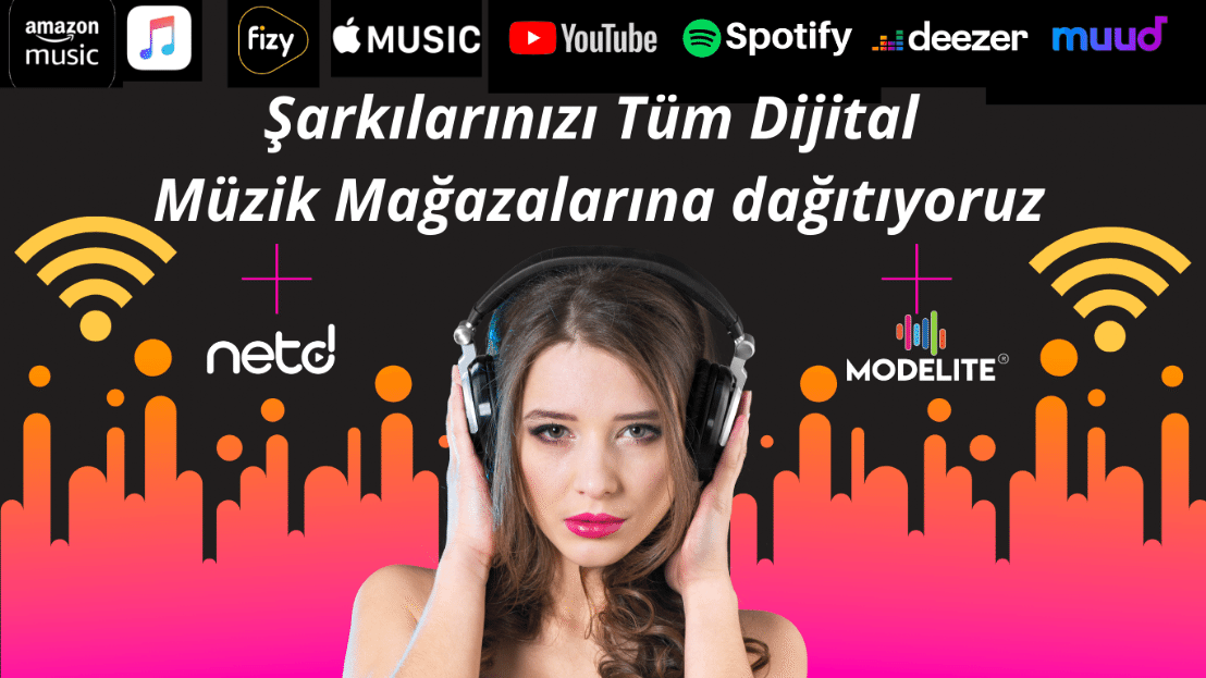 Dijital Müzik Platformları